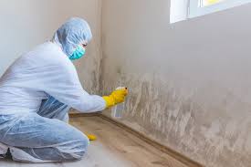 Golden Gate, FL Mold Removal & Remediation Company