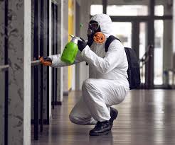 Asbestos and Lead Testing During Mold Inspection in Golden Gate, FL